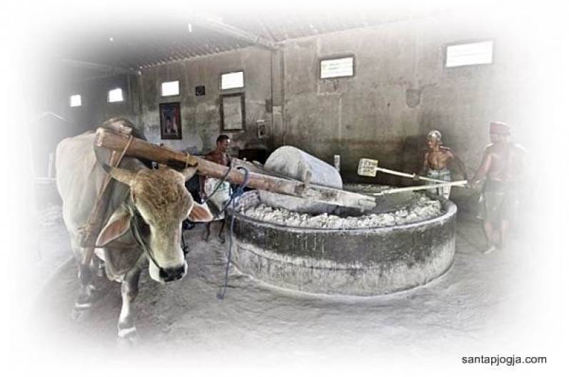 Do You Believe that One of The Workers in This Noodle Factory is A Cow?