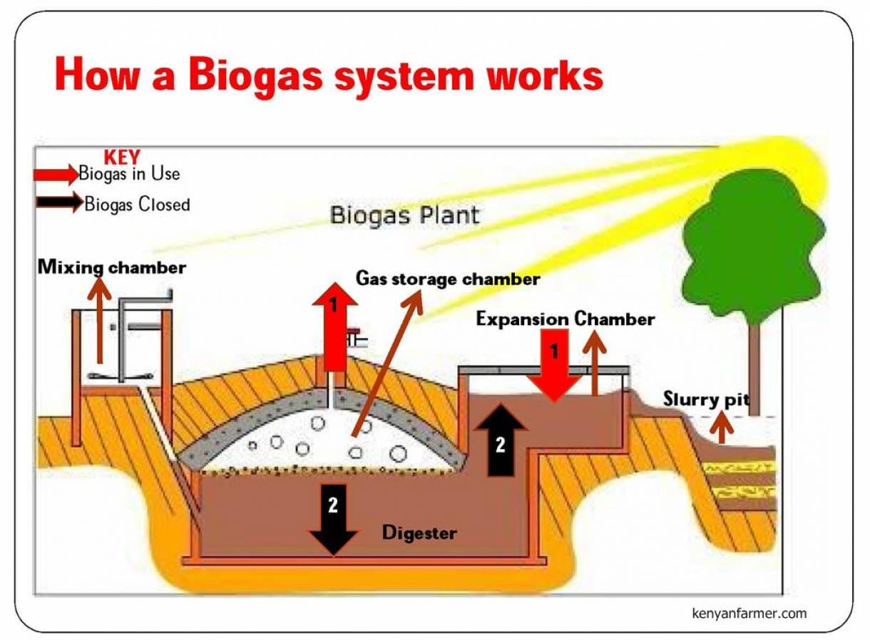 Biogas Kotoran Sapi Sebagai Alternatif BBM Satu Harga PERTAMINA